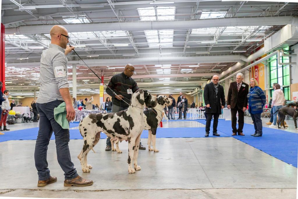 PARIS DOG SHOW